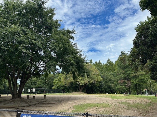 水元公園ドッグラン