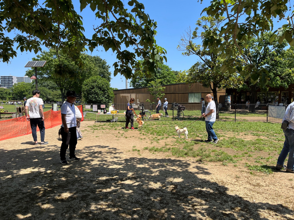 木場公園 ドッグラン