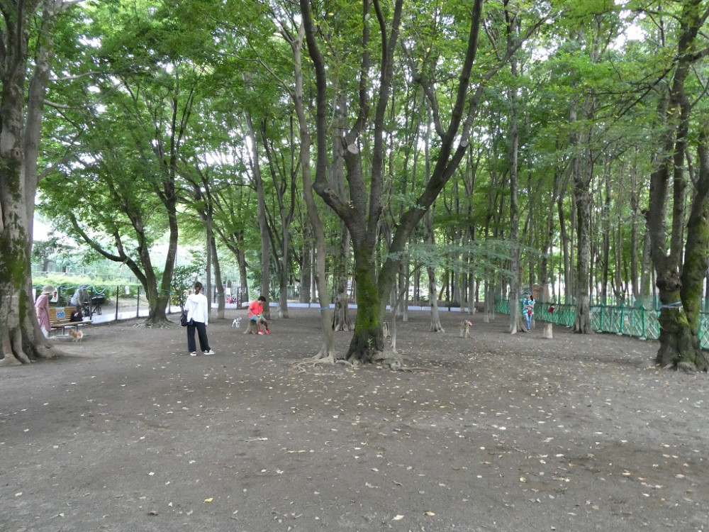 城北中央公園 ドッグラン