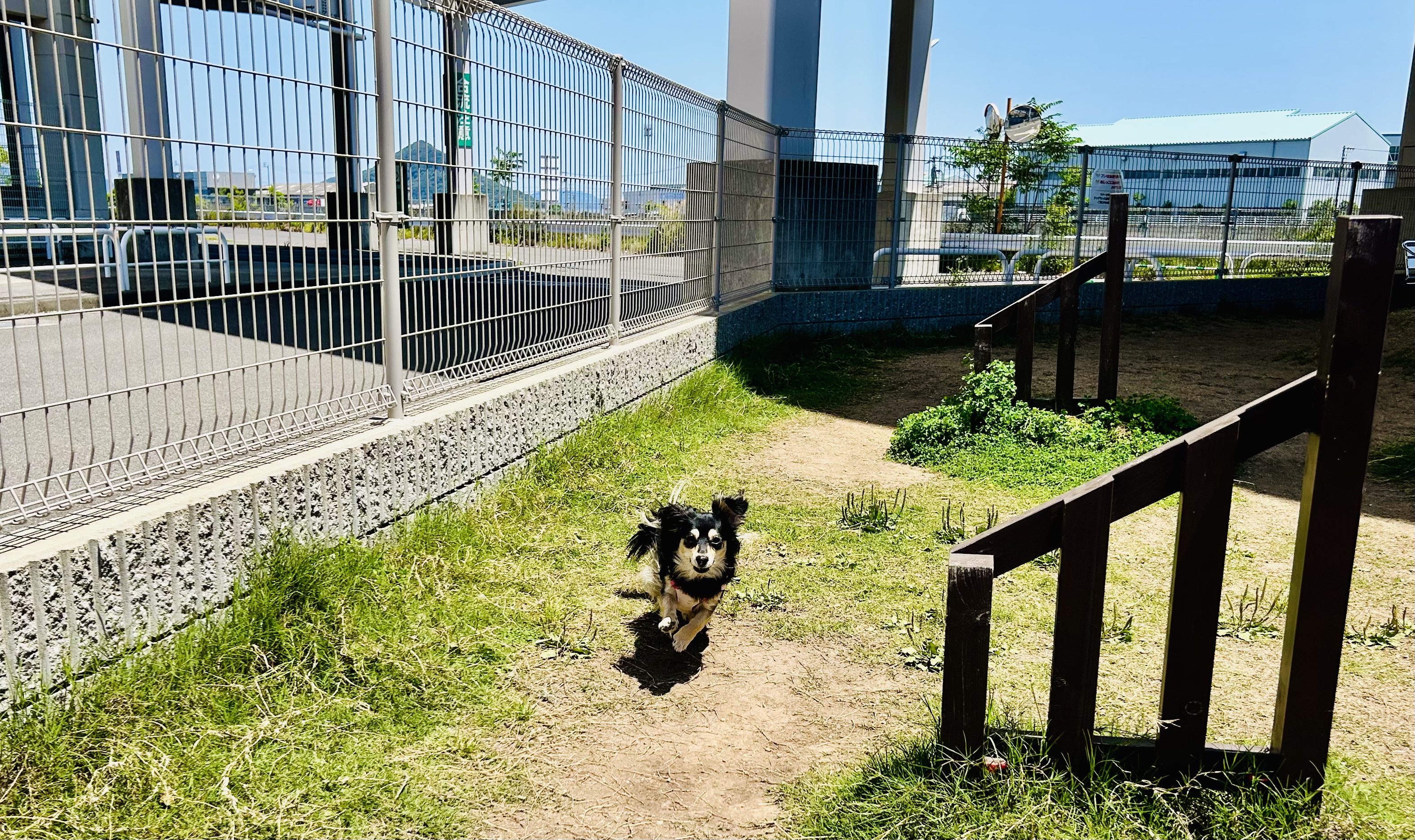 ドッグガーデン・イオンモール高松