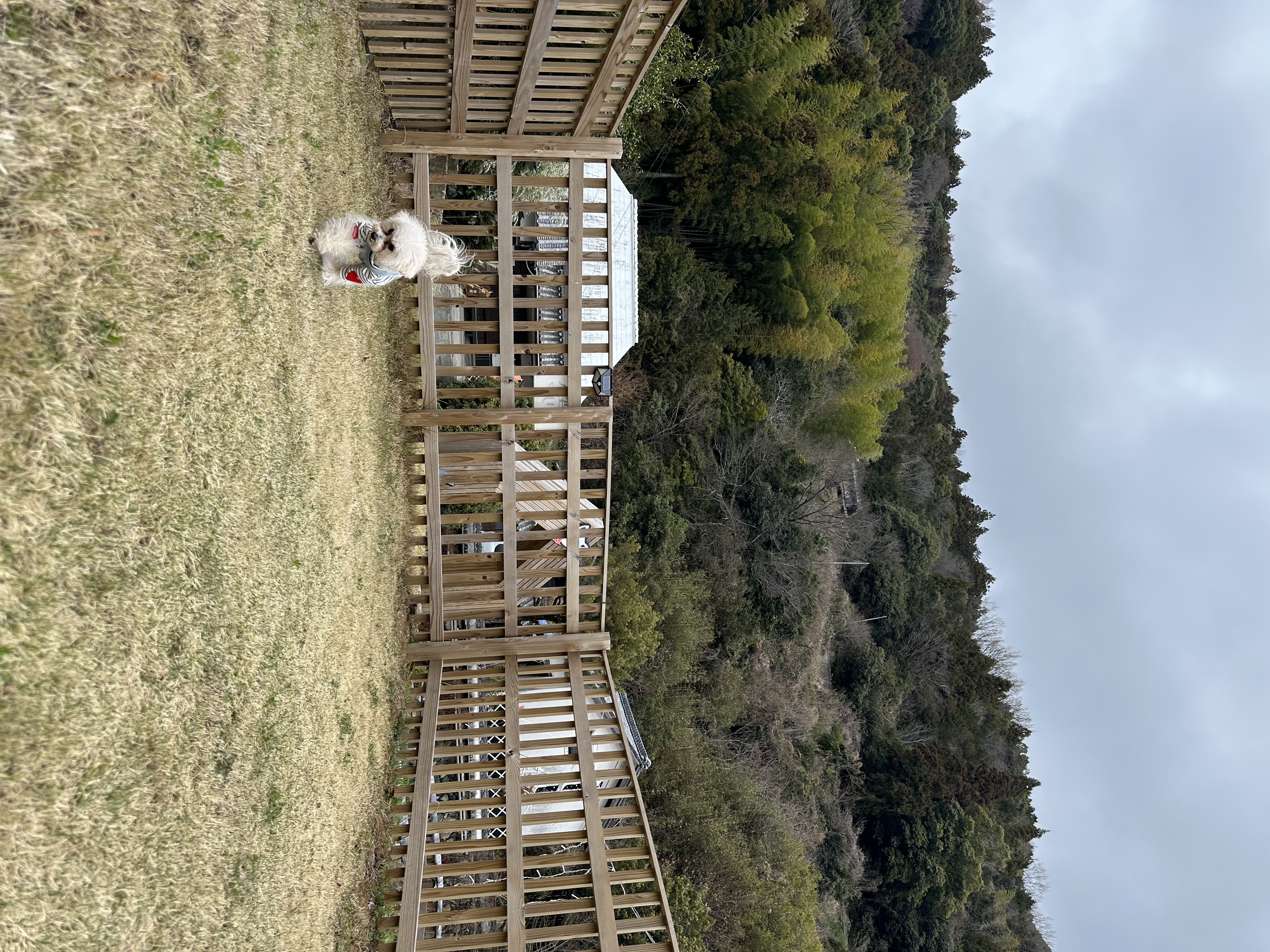 ドッグランDOGFIELD