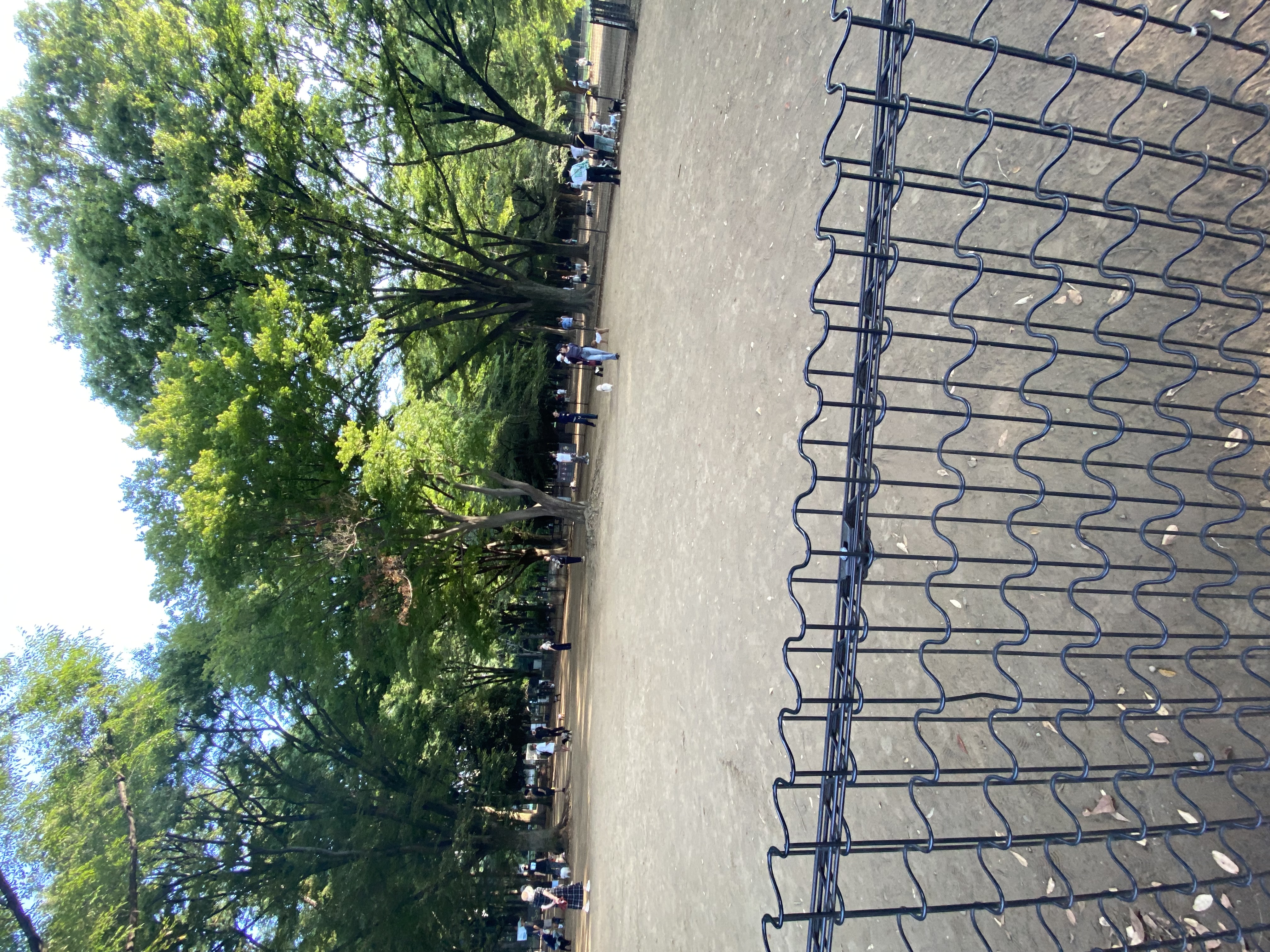 代々木公園ドッグラン