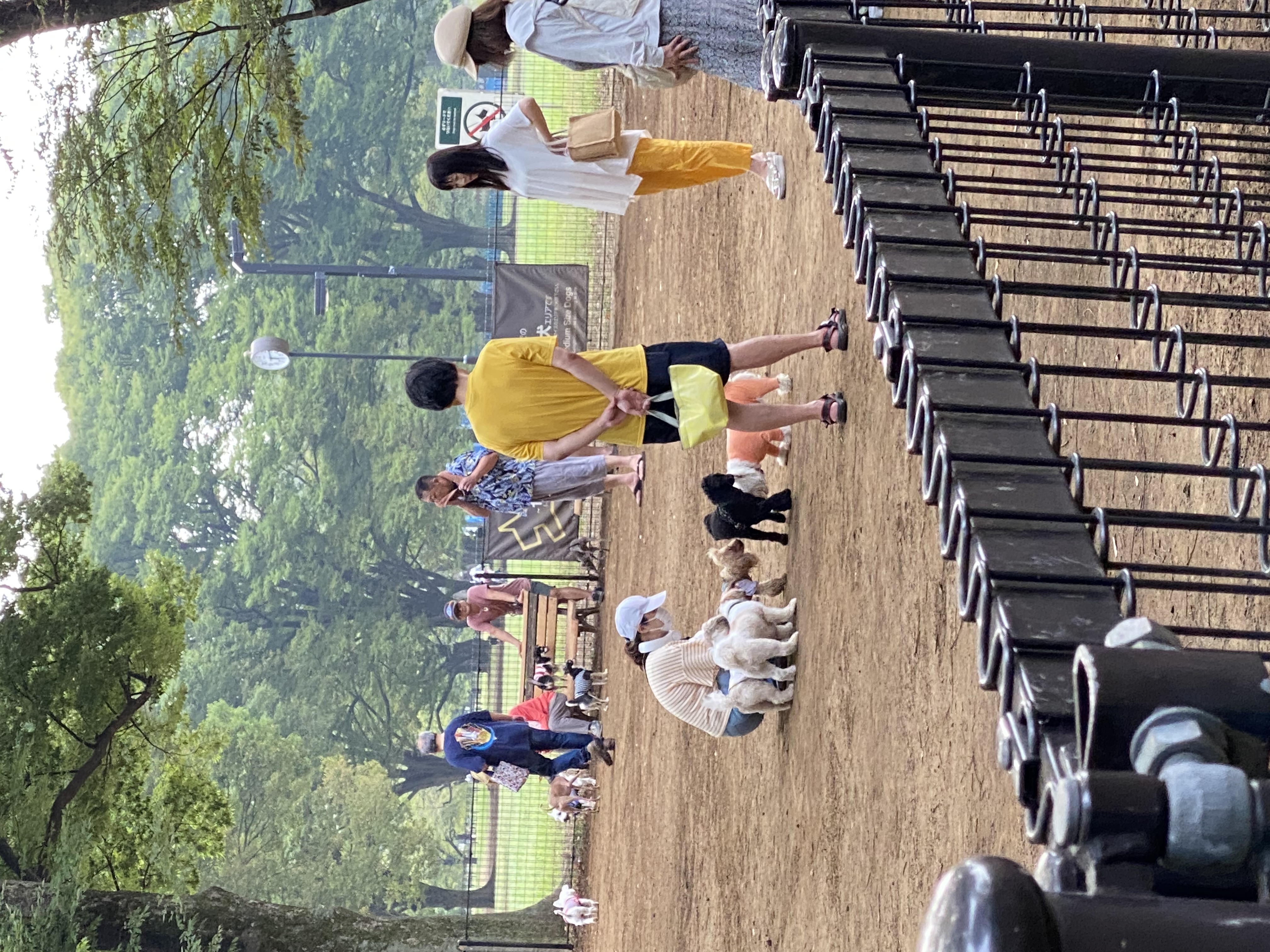 代々木公園ドッグラン