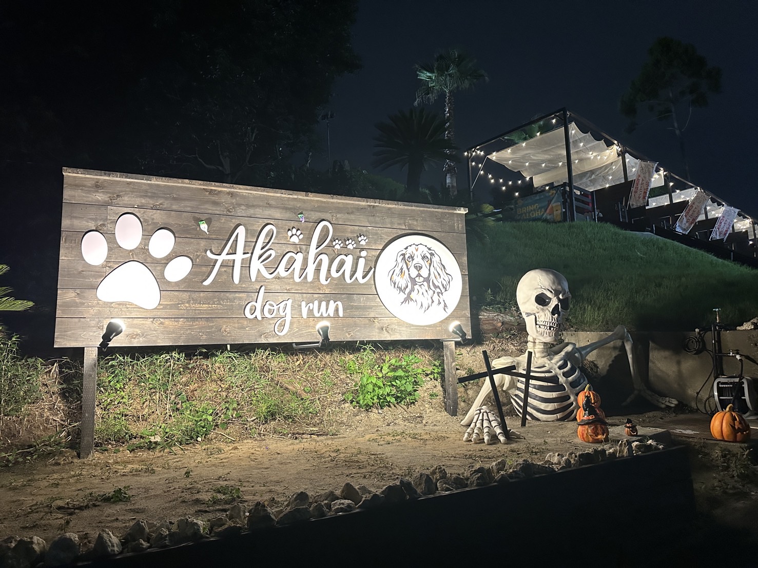 Akahai dog run