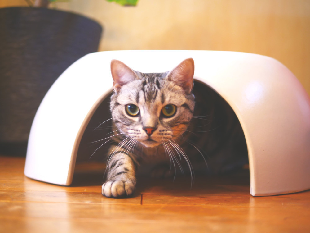 瓦猫【さくら・白】キャットハウス　ペットハウス　猫の家　ドーム