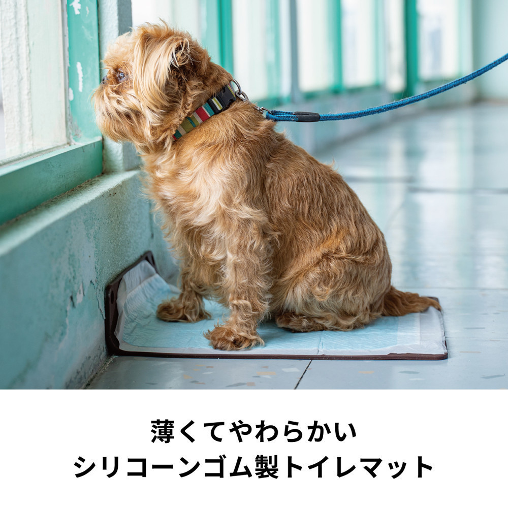 【公式ショップ】HARIO ワンコトイレマットJ ワイドCBR　HARIO ハリオ ペット トイレトレー 持ち運び 介護 老犬