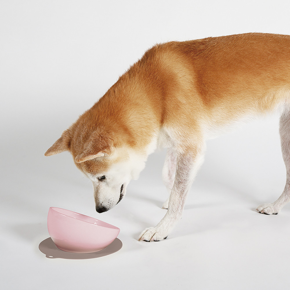 【公式ショップ】HARIO マルプレ ペールピンク　ハリオ ペット 犬用 食器 中型犬 犬用食器 フードボウル