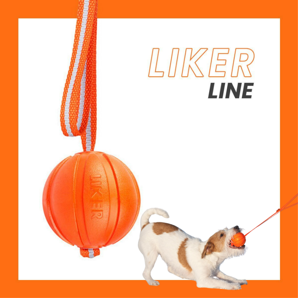 LIKER LINE｜ライカー ライン魔法のベルト