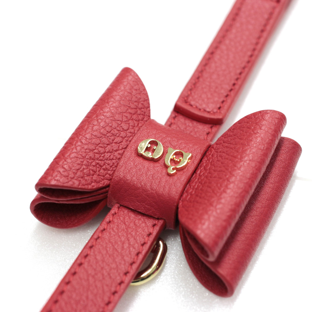 Bisou Dog Leash