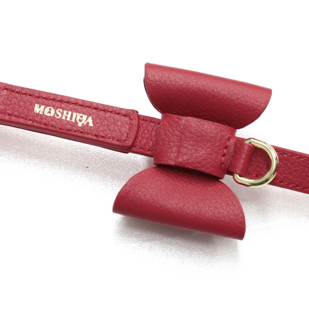 Bisou Dog Leash