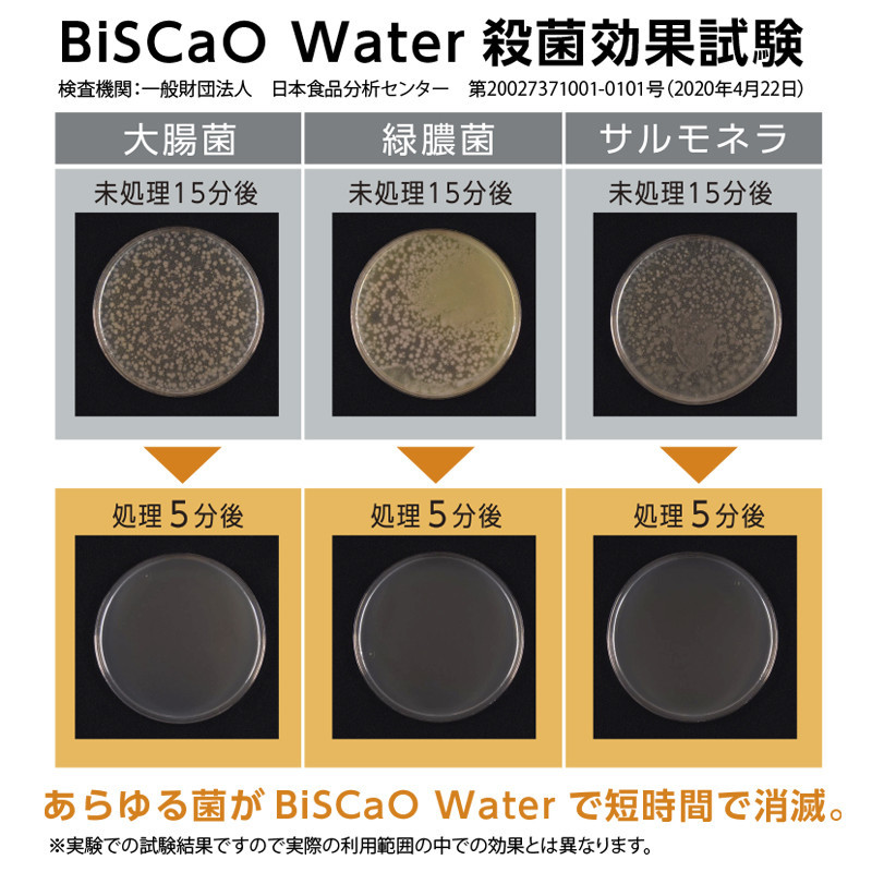 BiSCaO Water 除菌・消臭スプレー（300 ml）