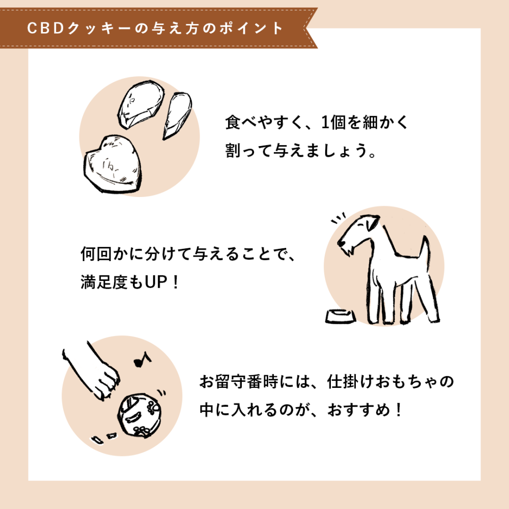 【試食】CBD 1mg ハードチュウ（パンプキン）　トライアルパック27g /約14粒