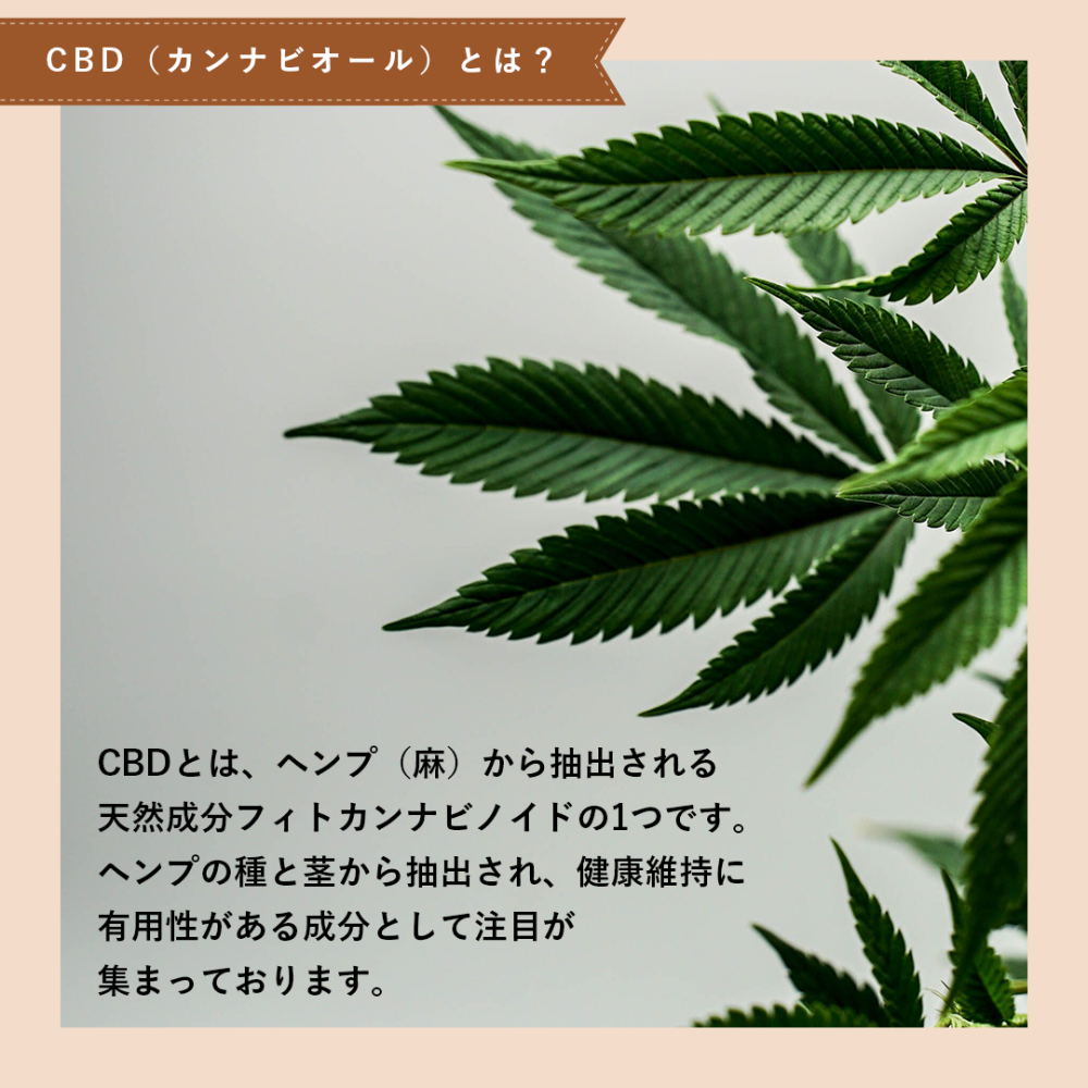 【試食】CBD ４mg ハードチュウ(パンプキン)　トライアルパック29g /約7粒