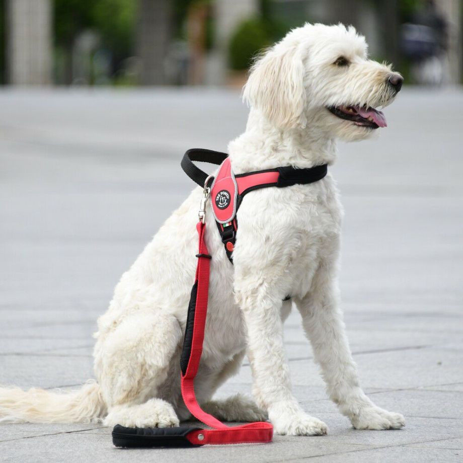 プリモ　リフレクティブ  犬  TRE PONTI  トレポンティ  ライフジャケット