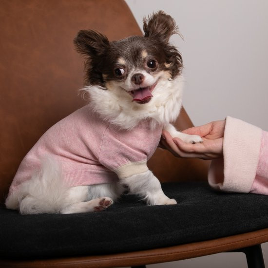 【SET】cashmere × cotton mock neck knit 〈 pink × ivory 〉