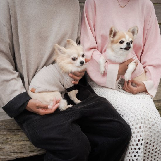 cashmere × cotton mock neck knit 〈 beige × black 〉