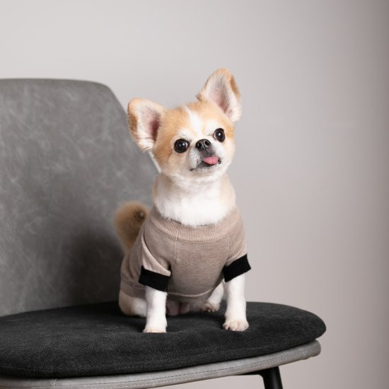 cashmere × cotton mock neck knit for DOG〈 beige × black 〉