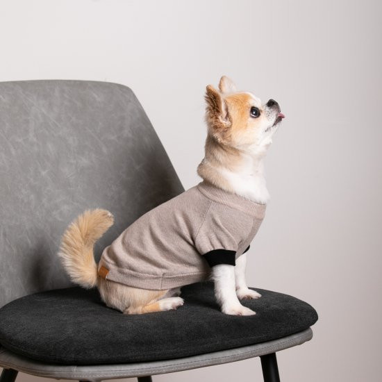 cashmere × cotton mock neck knit for DOG〈 beige × black 〉