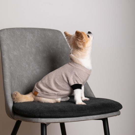 cashmere × cotton mock neck knit for DOG〈 beige × black 〉