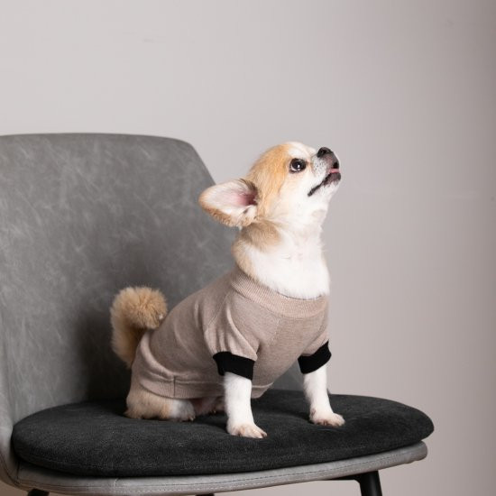 cashmere × cotton mock neck knit for DOG〈 beige × black 〉