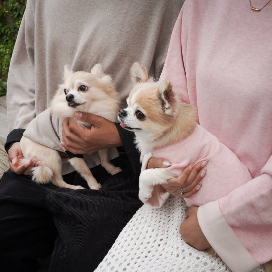 cashmere × cotton mock neck knit for DOG〈 beige × black 〉