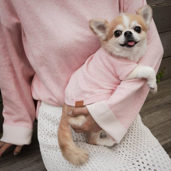 cashmere × cotton mock neck knit for DOG〈 pink × ivory 〉