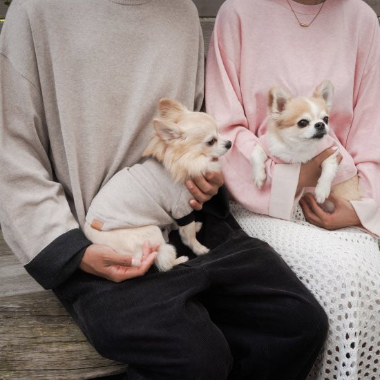 cashmere × cotton mock neck knit for DOG〈 pink × ivory 〉