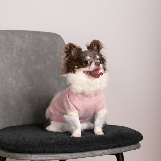 cashmere × cotton mock neck knit for DOG〈 pink × ivory 〉