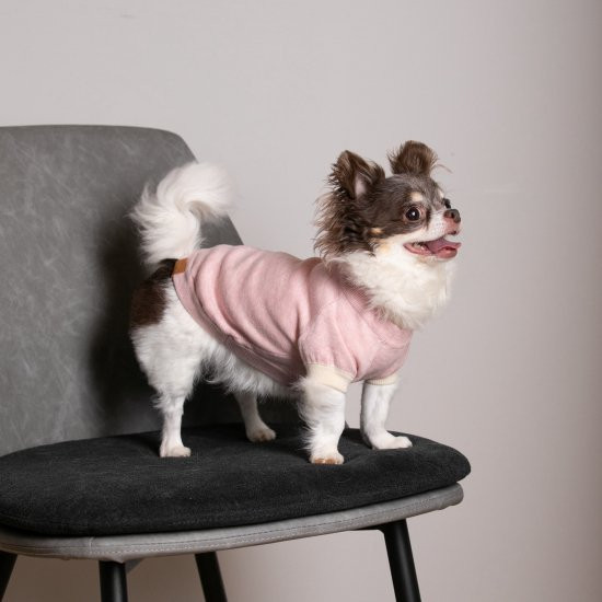 cashmere × cotton mock neck knit for DOG〈 pink × ivory 〉