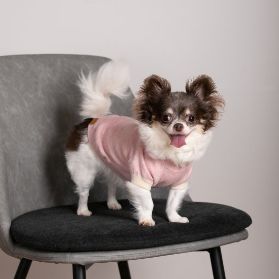 cashmere × cotton mock neck knit for DOG〈 pink × ivory 〉