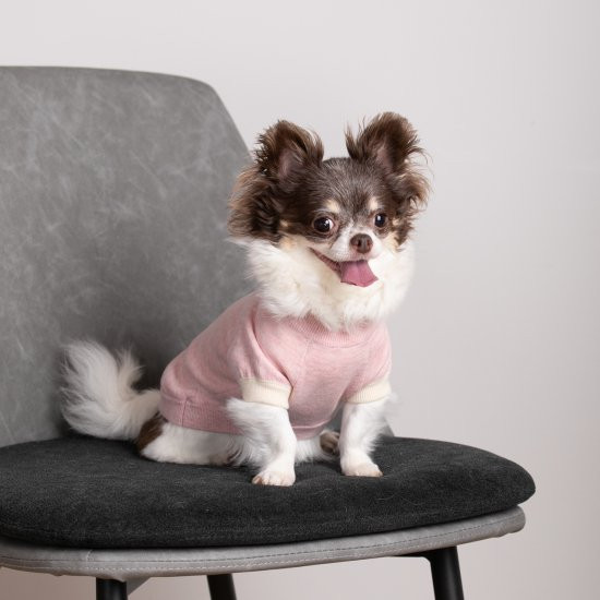 cashmere × cotton mock neck knit for DOG〈 pink × ivory 〉