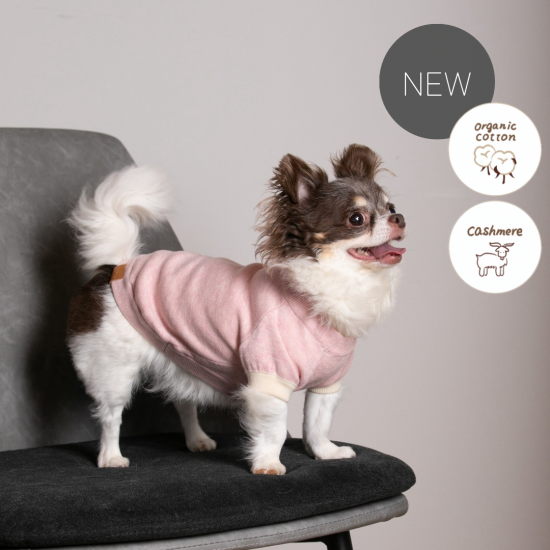 cashmere × cotton mock neck knit for DOG〈 pink × ivory 〉