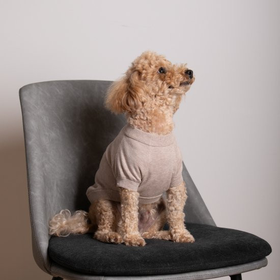 cashmere × cotton mock neck knit for DOG〈 beige × ivory〉