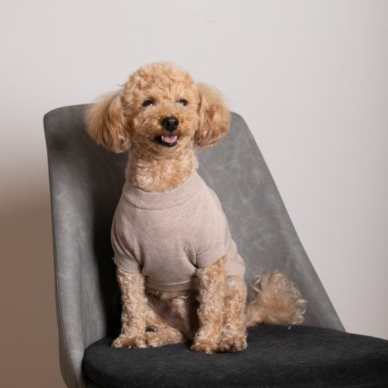 cashmere × cotton mock neck knit for DOG〈 beige × ivory〉