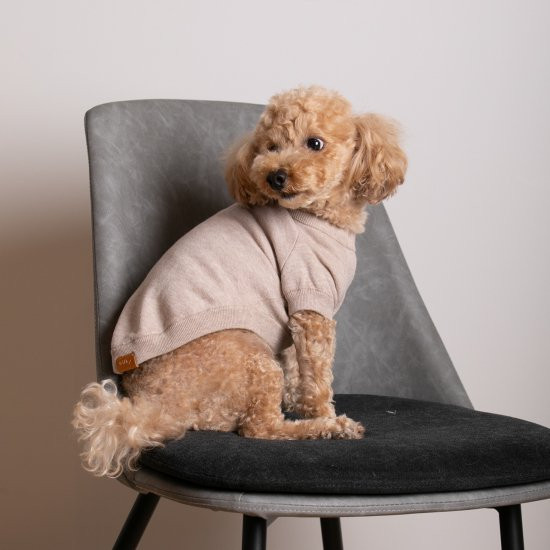 cashmere × cotton mock neck knit for DOG〈 beige × ivory〉