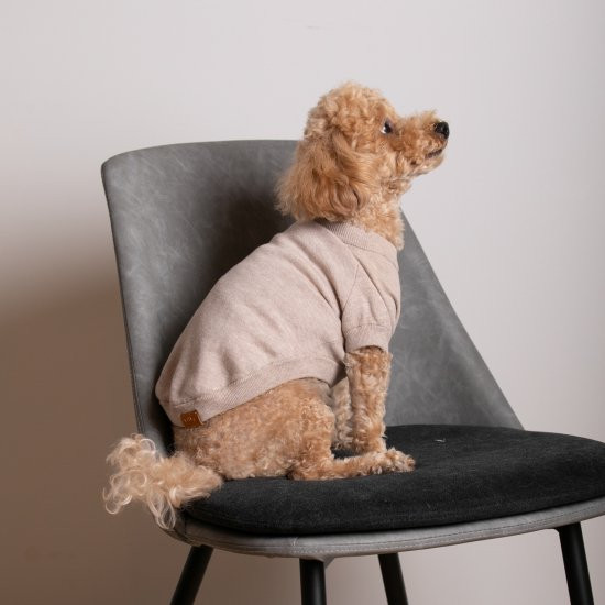 cashmere × cotton mock neck knit for DOG〈 beige × ivory〉