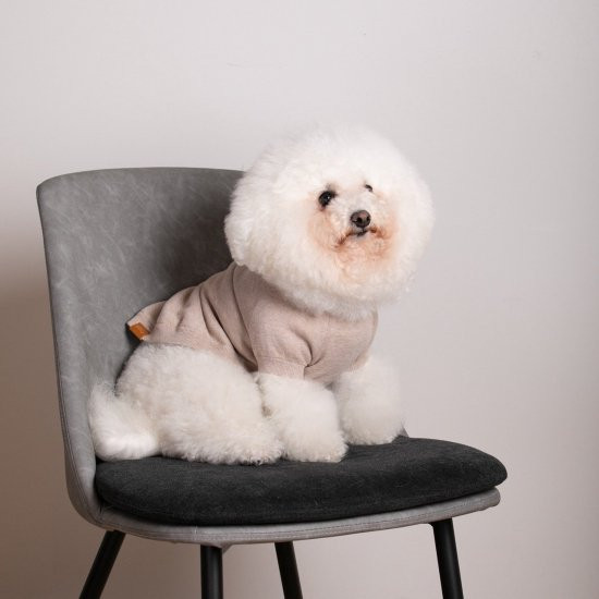 cashmere × cotton mock neck knit for DOG〈 beige × ivory〉