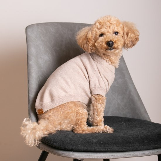 cashmere × cotton mock neck knit for DOG〈 beige × ivory〉