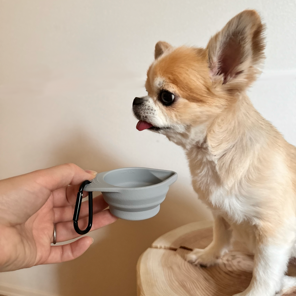 mini silicone bowl〈 折り畳みミニシリコンボウル 〉