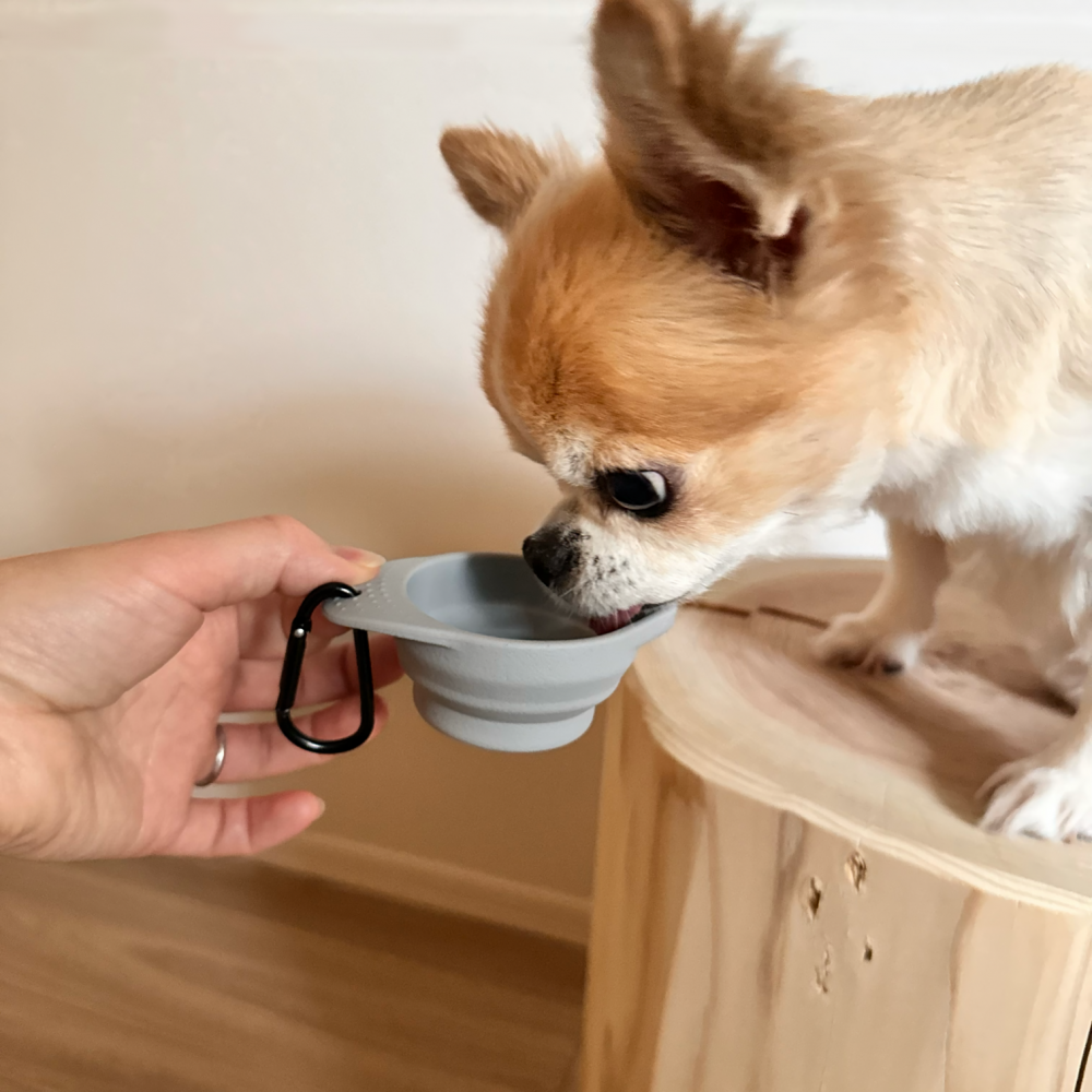 mini silicone bowl〈 折り畳みミニシリコンボウル 〉