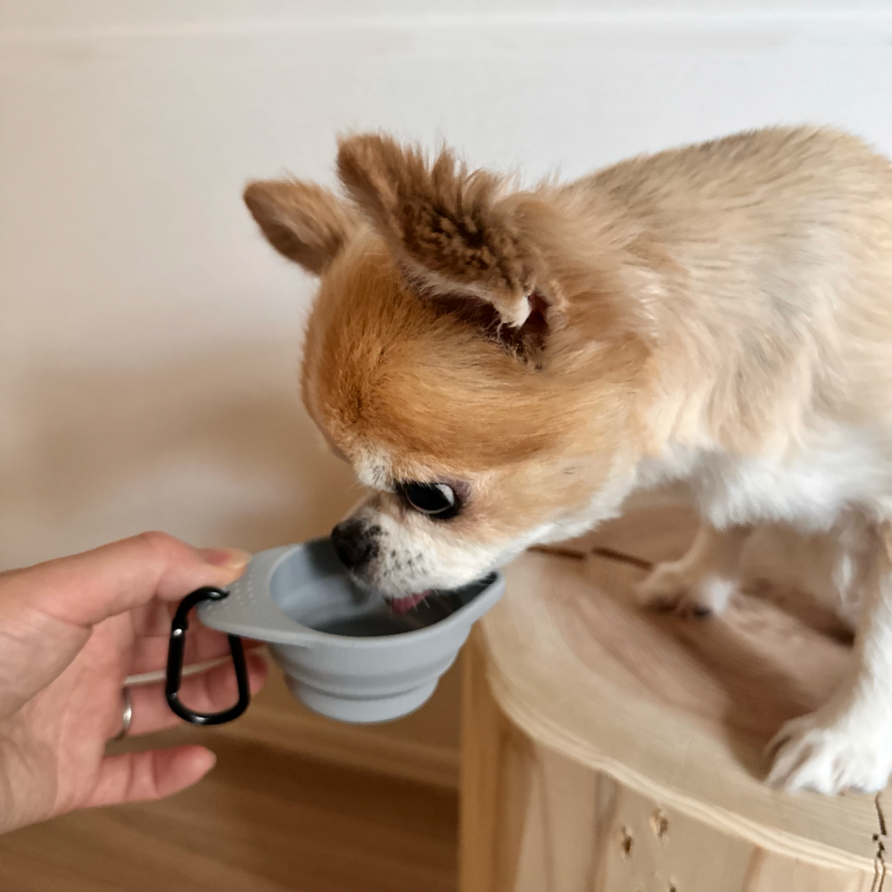 mini silicone bowl〈 折り畳みミニシリコンボウル 〉