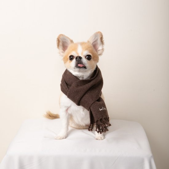 cashmere100%大判muffler for DOG with.002