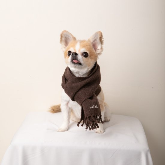 cashmere100%大判muffler for DOG with.002