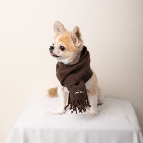 cashmere100%大判muffler for DOG with.002