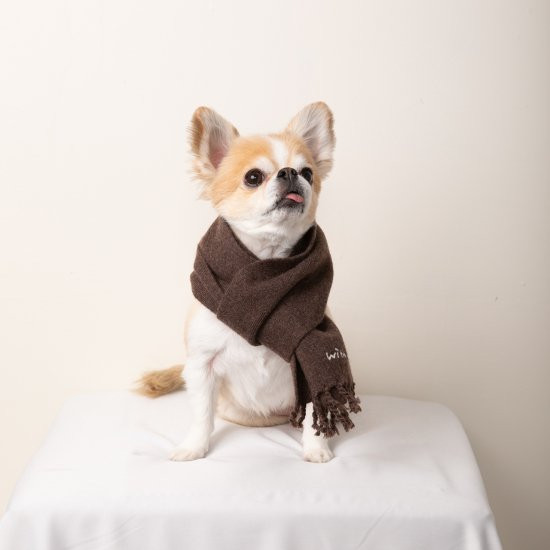 cashmere100%大判muffler for DOG with.002