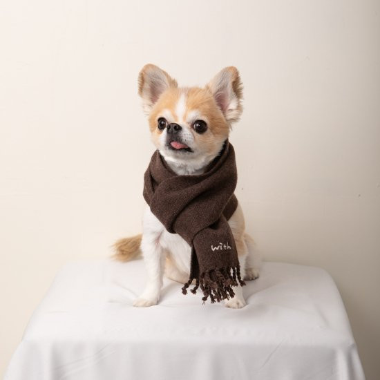 cashmere100%大判muffler for DOG with.002