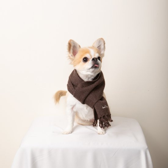 cashmere100%大判muffler for DOG with.002