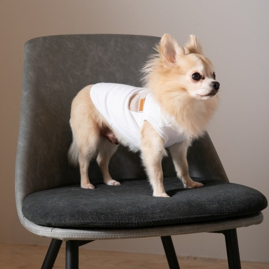 bicolor cotton knit for DOG 〈 beige × white 〉