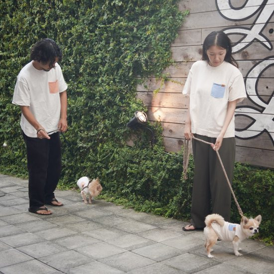 bicolor cotton knit for DOG 〈 blue × beige 〉