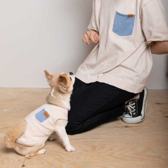 bicolor cotton knit for DOG 〈 blue × beige 〉